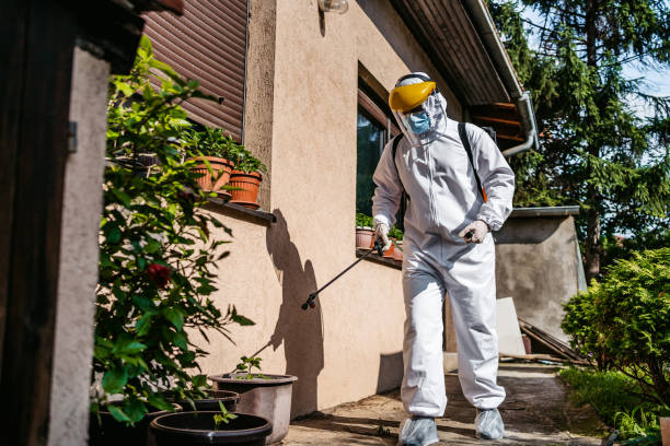 Best Rodent Control Near Me  in Coopersville, MI